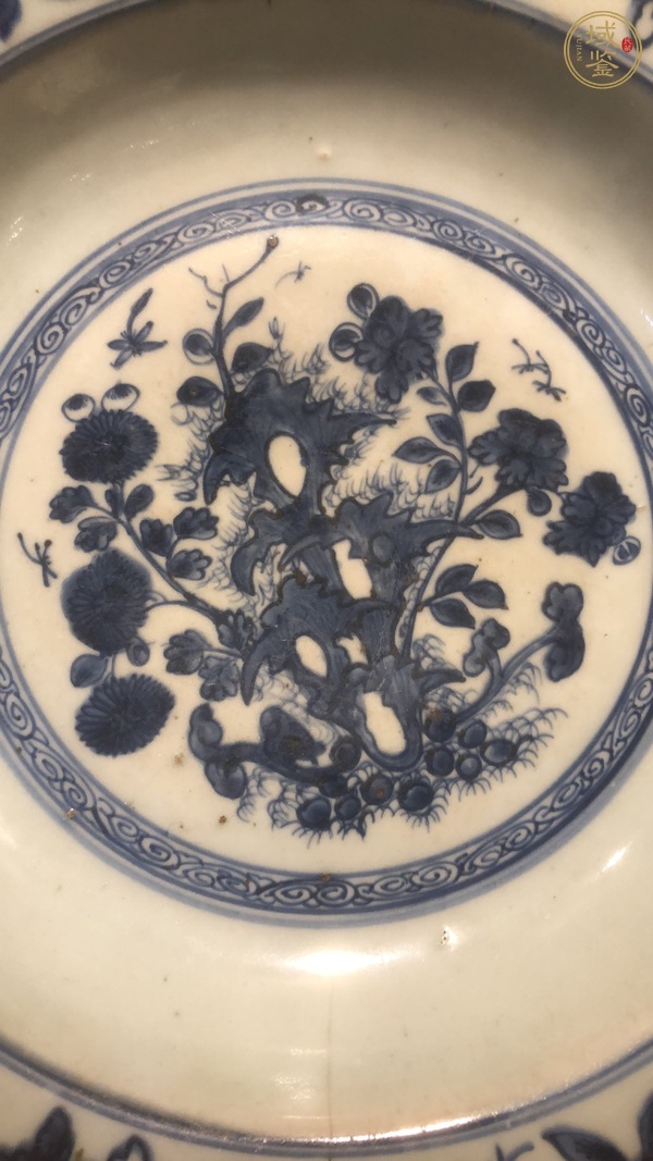 古玩陶瓷花鳥紋青花盤真品鑒賞圖