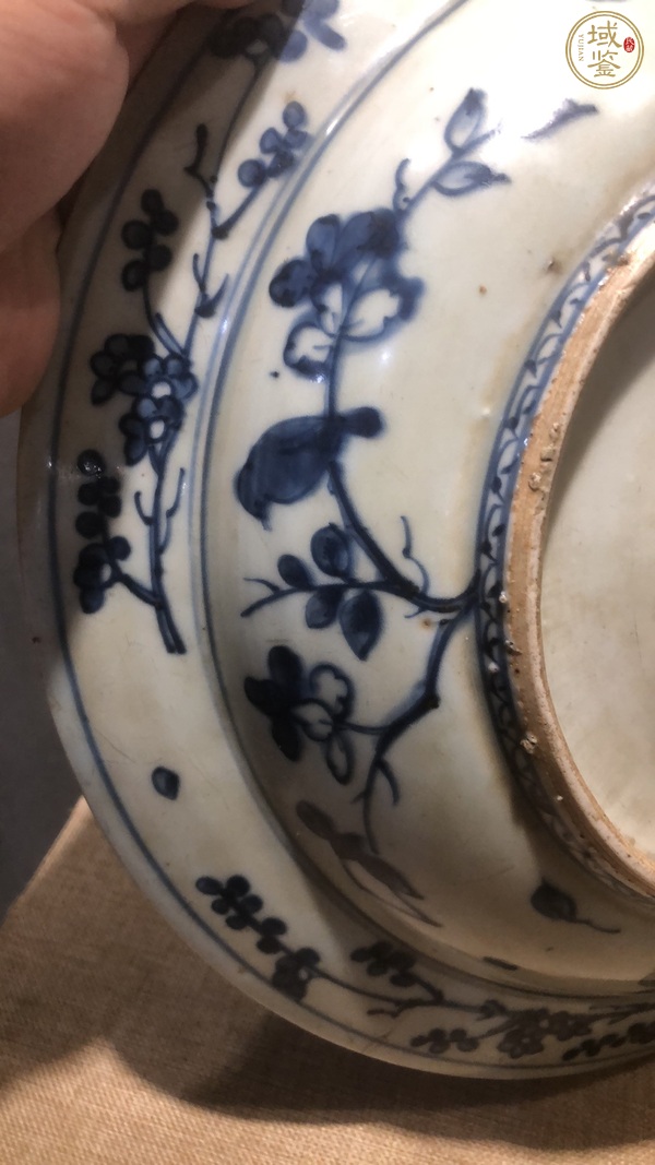 古玩陶瓷花鳥紋青花盤真品鑒賞圖