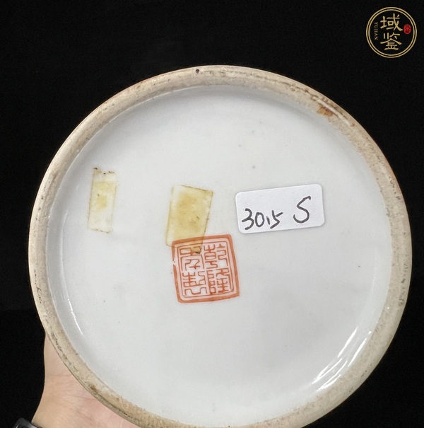 古玩陶瓷珊瑚紅釉開光粉彩花鳥紋盤口瓶真品鑒賞圖