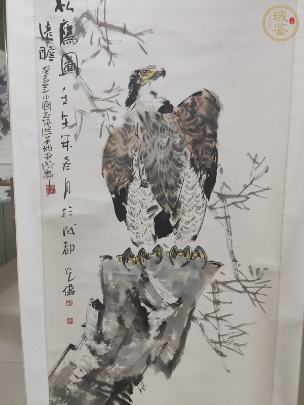 古玩字畫松鷹圖真品鑒賞圖