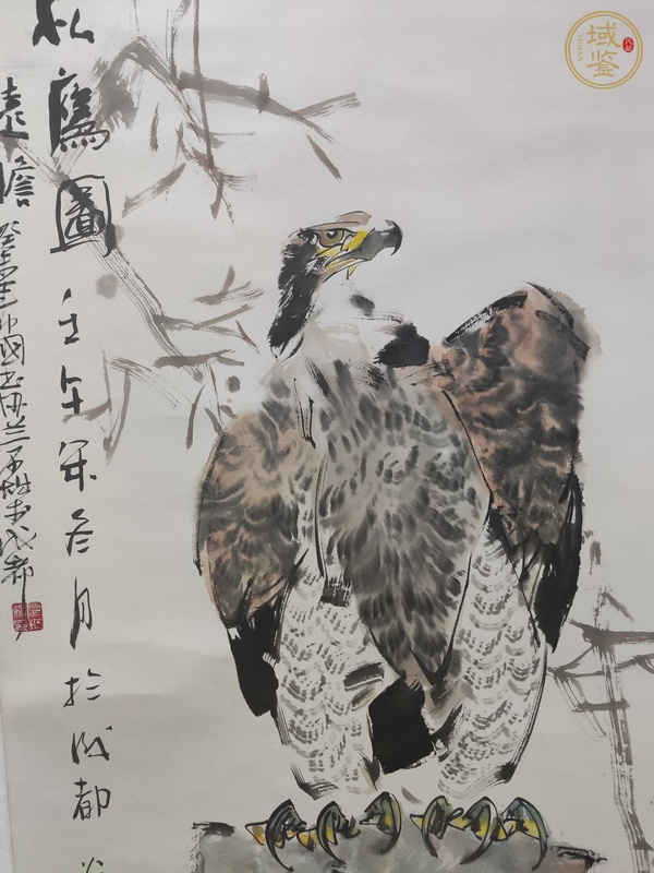 古玩字畫松鷹圖真品鑒賞圖