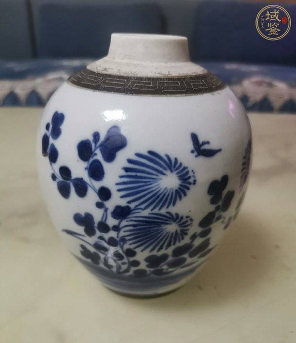 古玩陶瓷青花花蝶紋蓋罐真品鑒賞圖