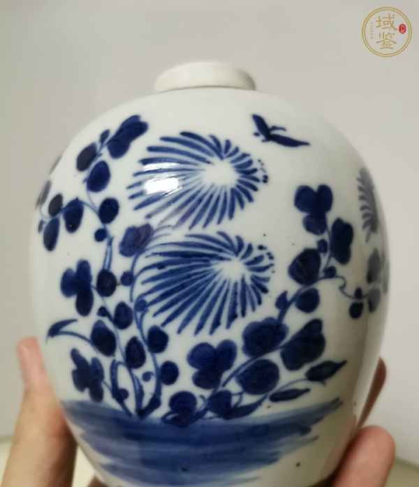 古玩陶瓷青花花蝶紋蓋罐真品鑒賞圖