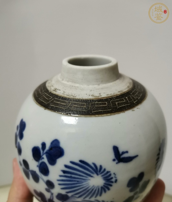 古玩陶瓷青花花蝶紋蓋罐真品鑒賞圖