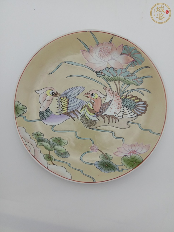 古玩陶瓷粉彩荷花鴛鴦紋盤真品鑒賞圖