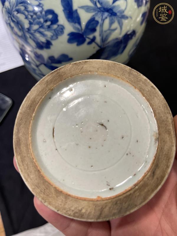 古玩陶瓷豆青釉青花冬瓜罐真品鑒賞圖