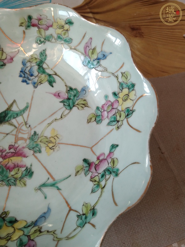 古玩陶瓷一鳴驚人粉彩花口盤真品鑒賞圖