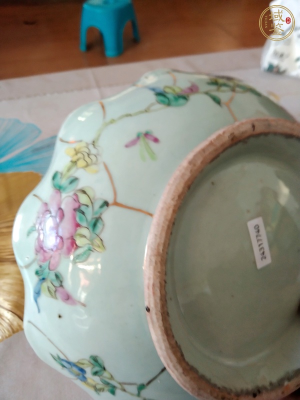 古玩陶瓷一鳴驚人粉彩花口盤真品鑒賞圖