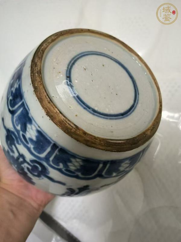 古玩陶瓷花間壽字紋青花罐真品鑒賞圖