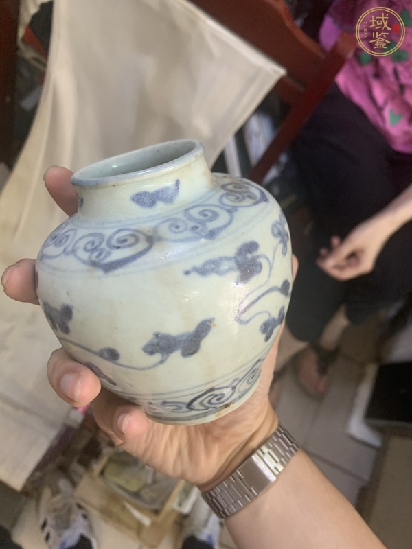 古玩陶瓷青花罐真品鑒賞圖