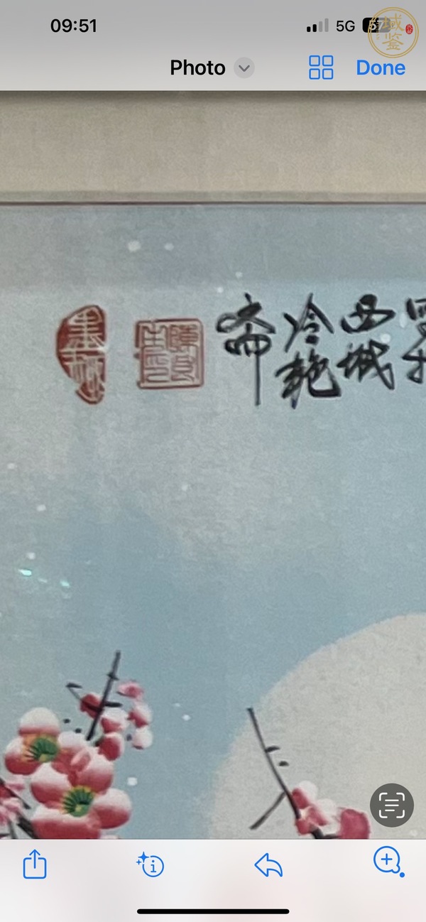 古玩字畫良生款寫意紅梅真品鑒賞圖