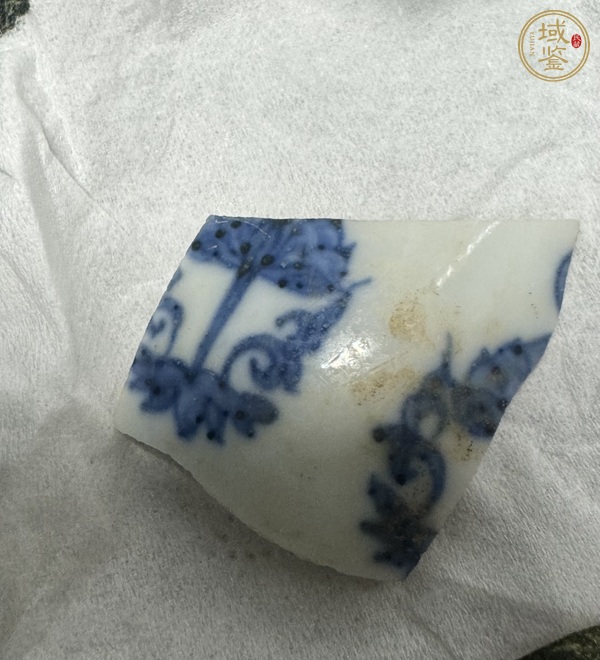 古玩陶瓷青花標本真品鑒賞圖