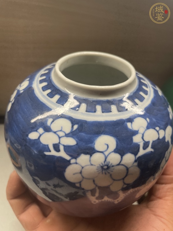 古玩陶瓷青花冰梅罐真品鑒賞圖