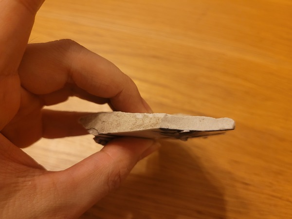 古玩陶瓷元青花瓷片標本拍賣，當前價格800元