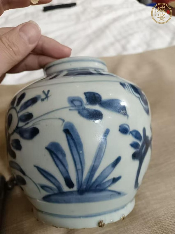 古玩陶瓷青花罐真品鑒賞圖