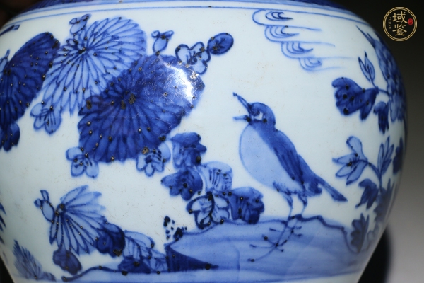 古玩陶瓷花鳥蝶紋青花罐真品鑒賞圖