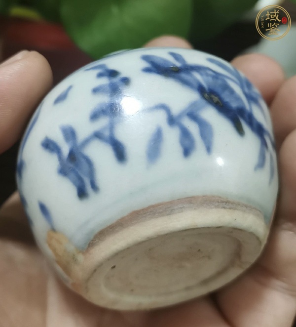 古玩陶瓷青花花卉紋水盂真品鑒賞圖