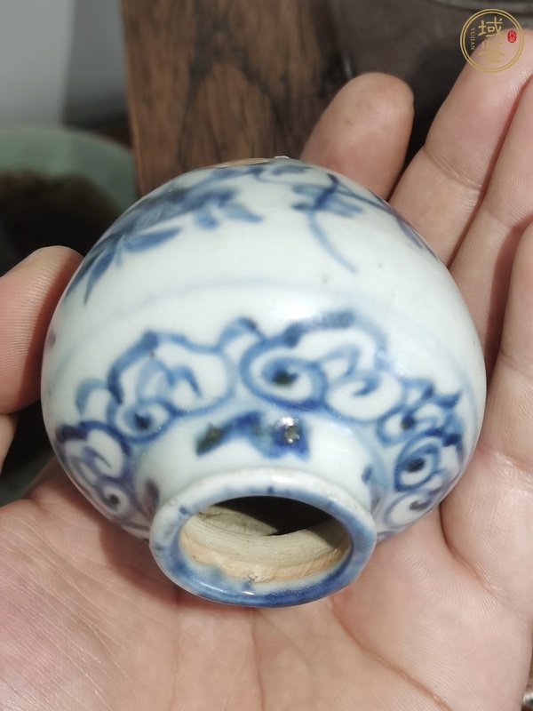 古玩陶瓷青花花卉紋水盂真品鑒賞圖