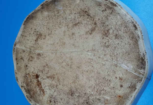 古玩陶瓷淺絳彩山水人物紋茶盤拍賣,當前價格0元