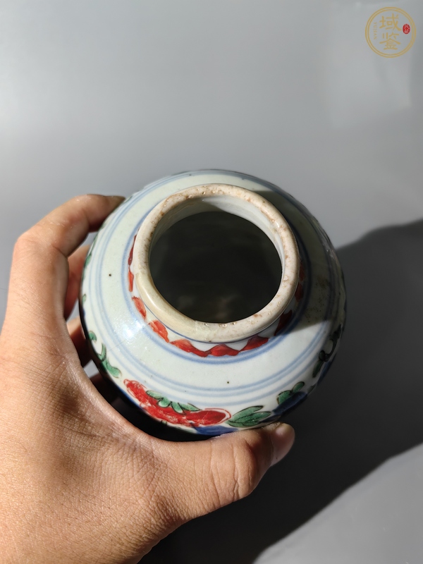 古玩陶瓷青花五彩花間獅子紋罐真品鑒賞圖