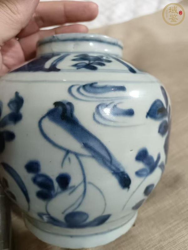 古玩陶瓷青花花鳥紋蓋罐真品鑒賞圖