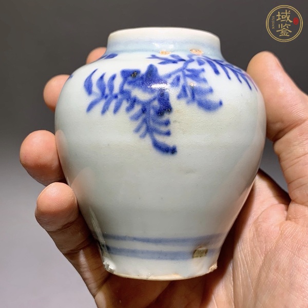 古玩陶瓷青花花卉紋罐真品鑒賞圖