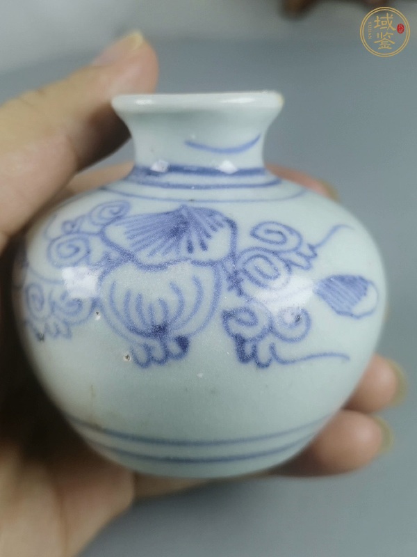 古玩陶瓷青花瓜瓞綿綿圖水盂真品鑒賞圖