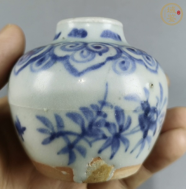 古玩陶瓷青花花卉紋石榴尊真品鑒賞圖