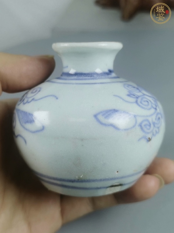 古玩陶瓷青花瓜瓞綿綿圖水盂真品鑒賞圖