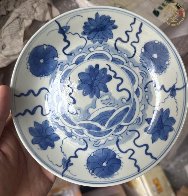 古玩陶瓷青花荷蓮紋盤真品鑒賞圖