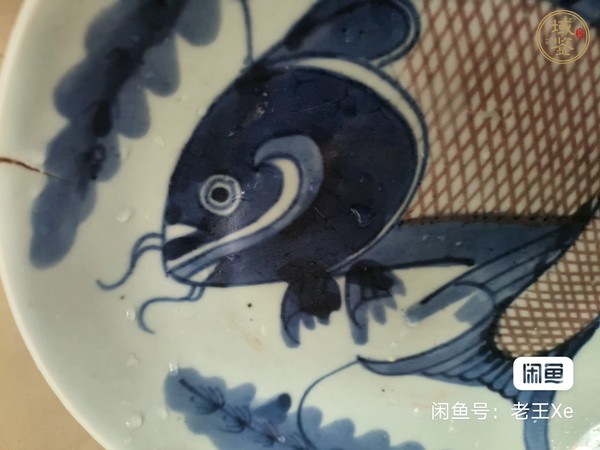 古玩陶瓷清中期 青花釉里紅鯉魚盤真品鑒賞圖