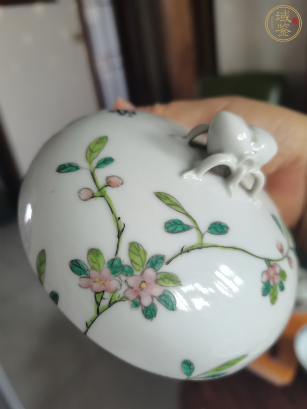 古玩陶瓷粉彩花鳥紋蓋缸真品鑒賞圖