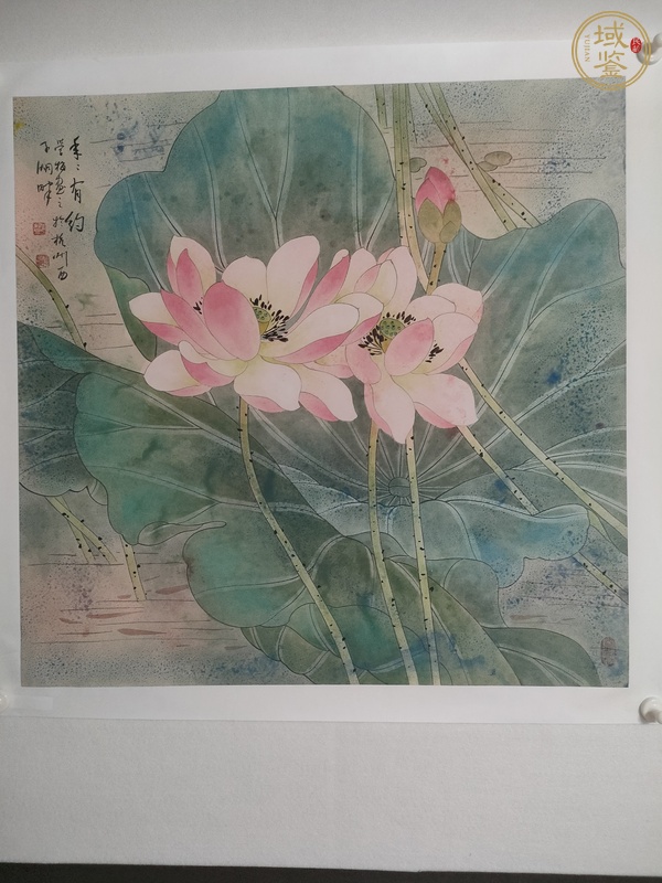 古玩字画学梅款工笔荷花真品鉴赏图