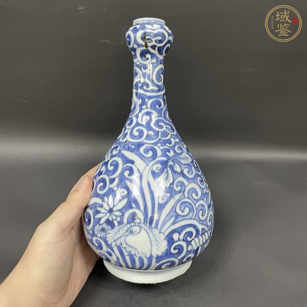 古玩陶瓷青花一路連科紋蒜頭瓶真品鑒賞圖