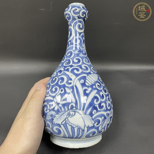 古玩陶瓷青花一路連科紋蒜頭瓶真品鑒賞圖