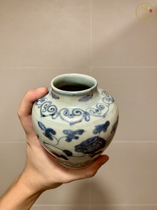 古玩陶瓷青花罐真品鑒賞圖