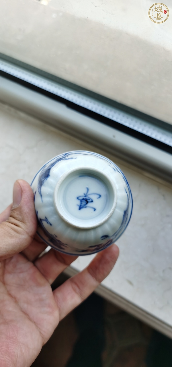 古玩陶瓷青花鳳紋菊瓣杯，疑似復(fù)窯真品鑒賞圖