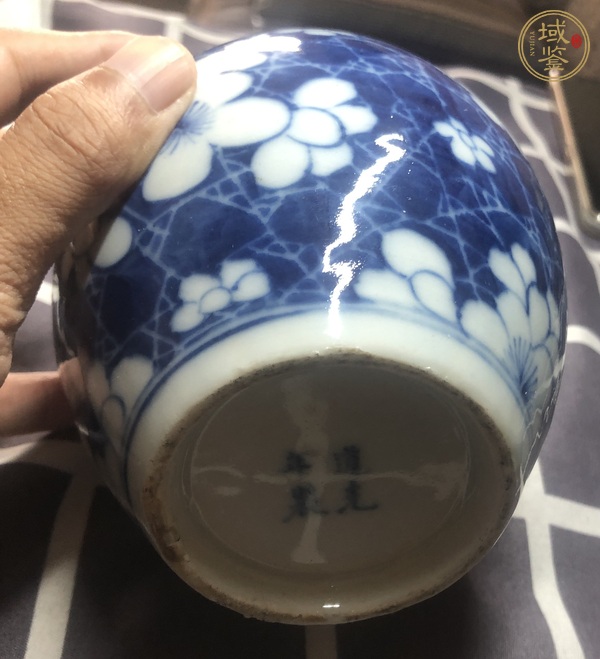 古玩陶瓷青花冰梅紋罐真品鑒賞圖