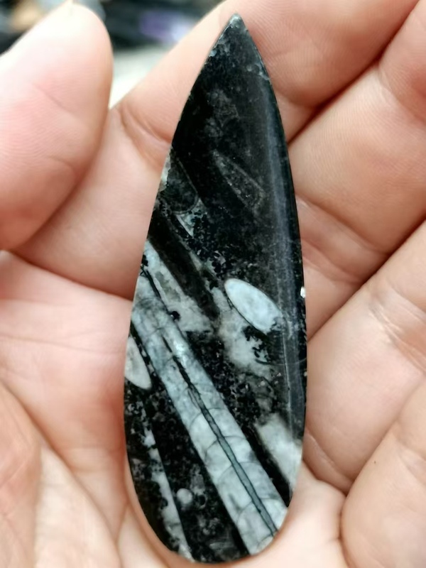 古玩雜項遠古生物hua石《角石》,可做吊墜掛件拍賣,當前價格666元