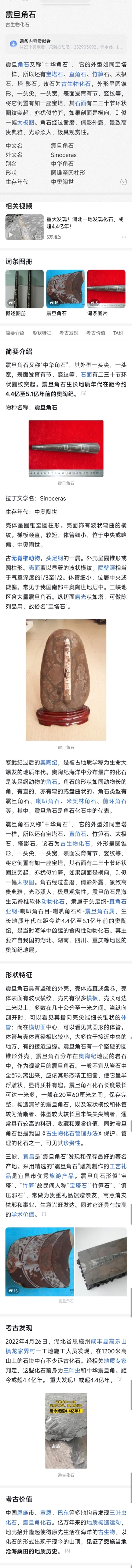 古玩雜項遠古生物hua石《角石》,可做吊墜掛件拍賣,當前價格666元