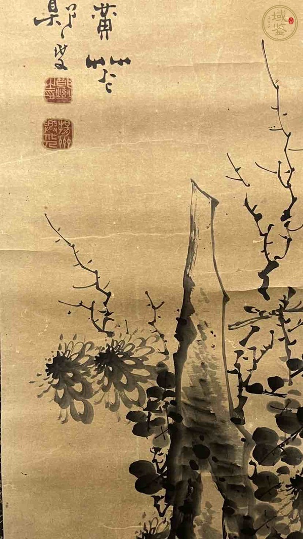 古玩字畫秋葉？黃花真品鑒賞圖