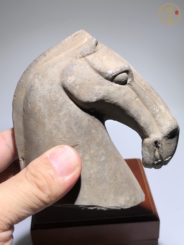 古玩陶瓷灰陶馬首真品鑒賞圖