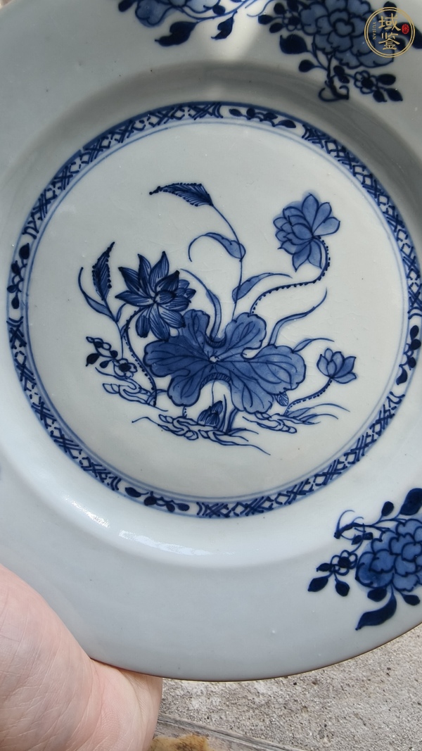 古玩陶瓷青花荷蓮紋折沿盤真品鑒賞圖