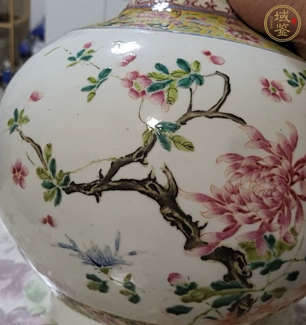 古玩陶瓷粉彩賞瓶真品鑒賞圖