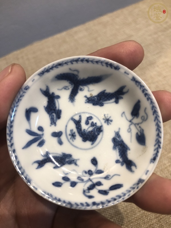 古玩陶瓷魚藻紋盤真品鑒賞圖