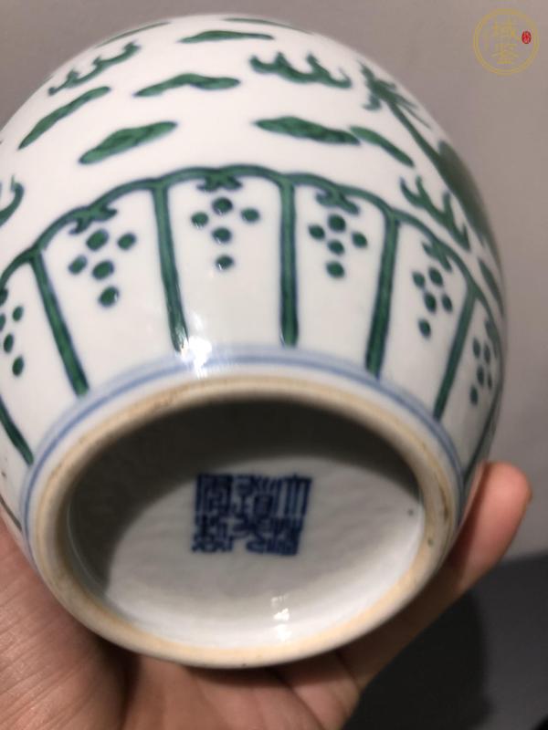 古玩陶瓷綠龍紋罐真品鑒賞圖