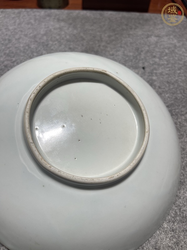 古玩陶瓷龍紋盤真品鑒賞圖