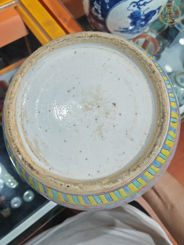 古玩陶瓷粉彩蓋罐真品鑒賞圖