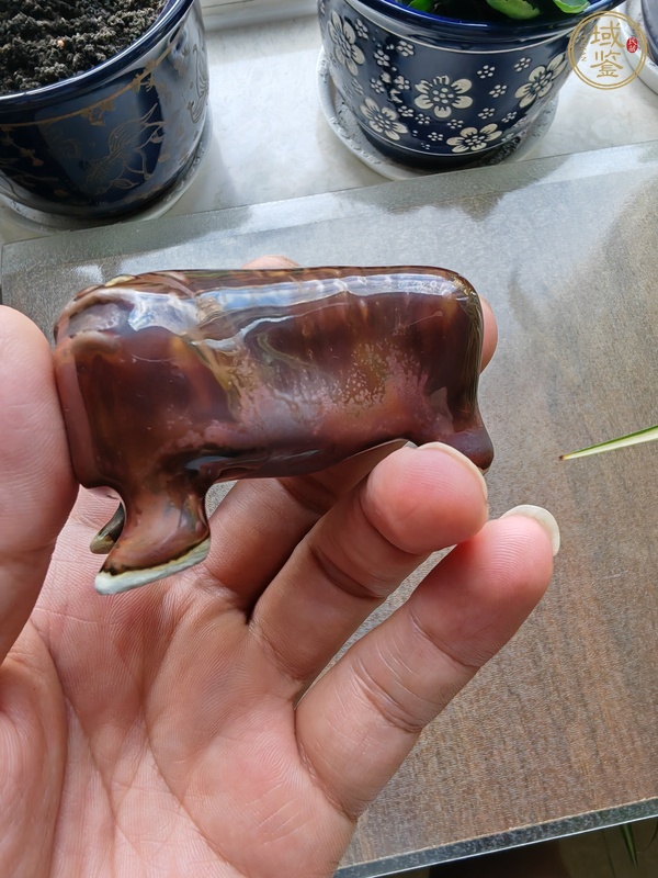 古玩陶瓷紫金釉金蟾造型水盂真品鑒賞圖
