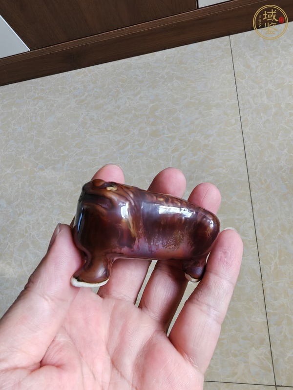 古玩陶瓷紫金釉金蟾造型水盂真品鑒賞圖